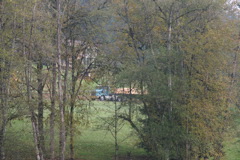 IMG_7985.JPG