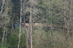 IMG_7989.JPG