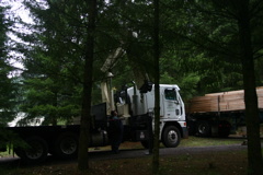 IMG_8003.JPG