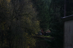 IMG_8046.JPG