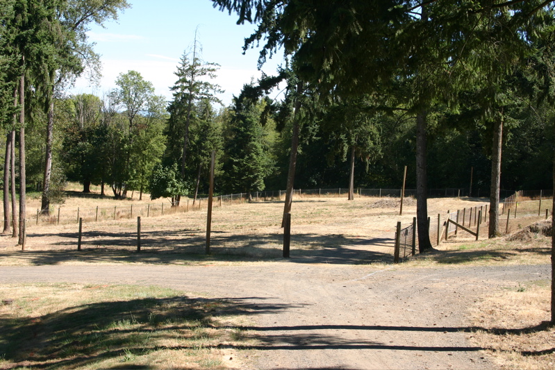 IMG_7880.JPG