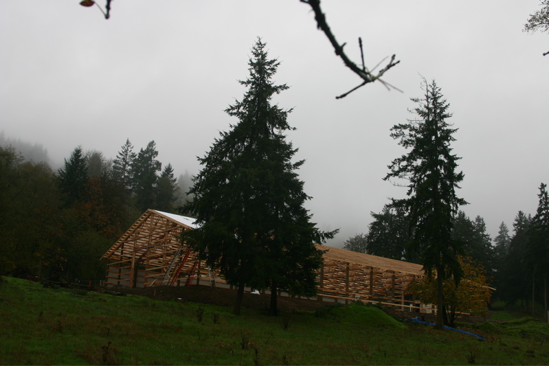 IMG_8235.JPG