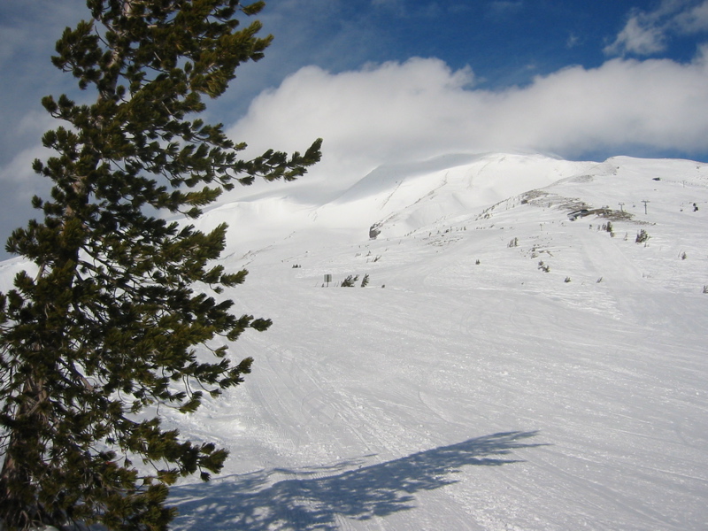 IMG_3599.JPG