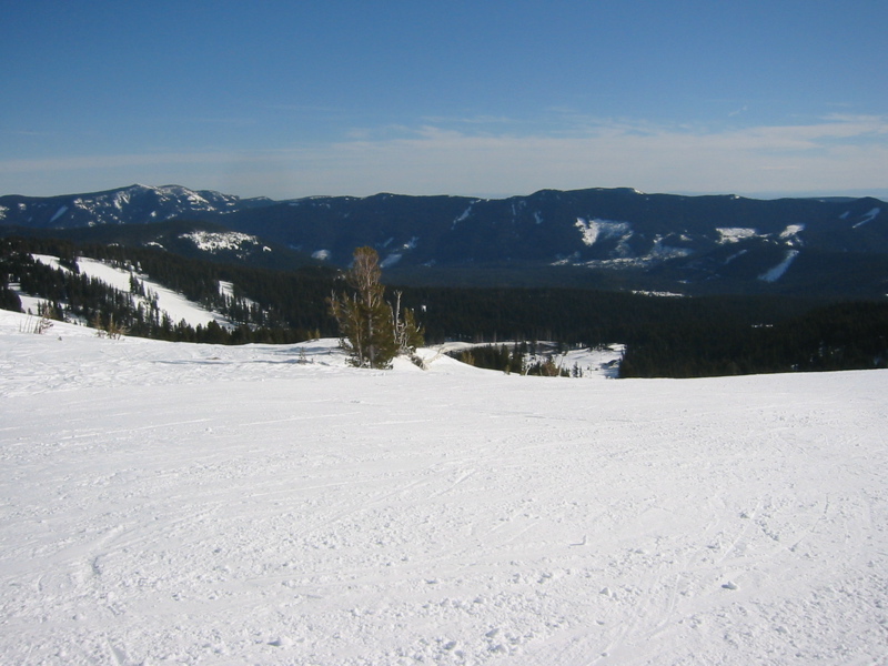 IMG_3600.JPG