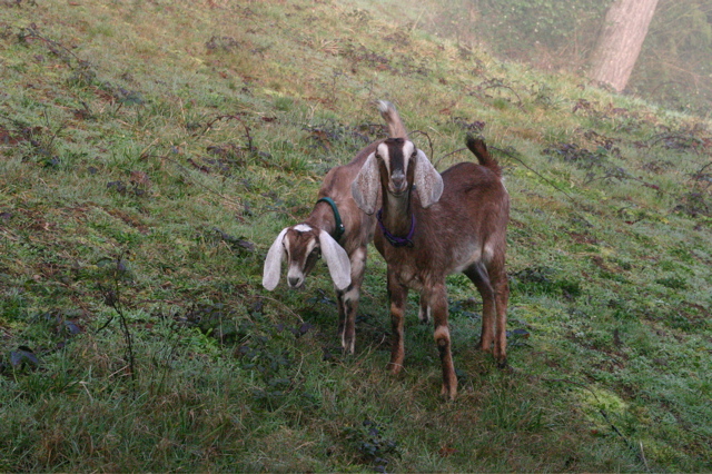 IMG_6716.JPG