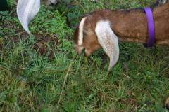 IMG_6726.JPG