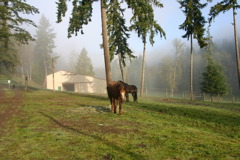 IMG_6740.JPG