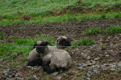 IMG_6749.JPG