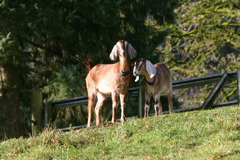 IMG_6771.JPG