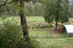 IMG_6169.JPG