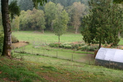 IMG_6171.JPG