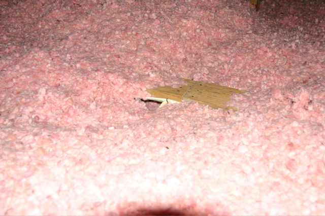 IMG_6252.JPG