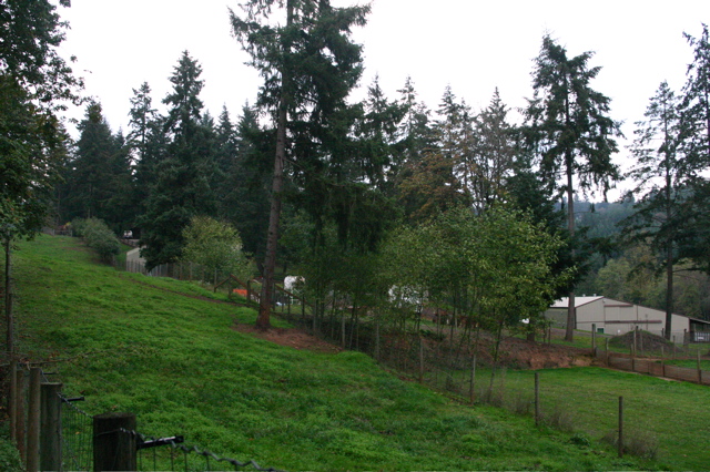 IMG_6262.JPG
