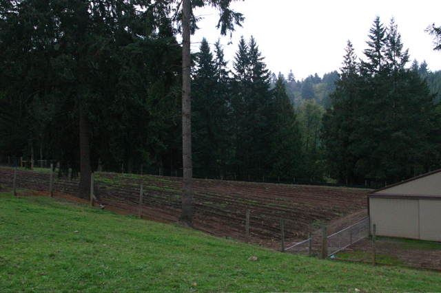 IMG_6266.JPG