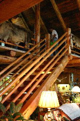 IMG_6241.JPG