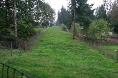 IMG_6259.JPG