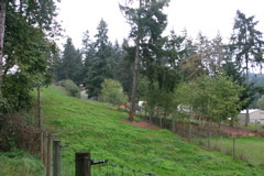 IMG_6261.JPG