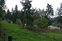 IMG_6262.JPG