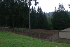 IMG_6266.JPG