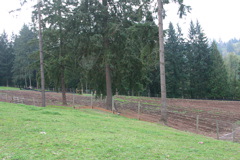 IMG_6267.JPG