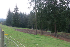 IMG_6268.JPG