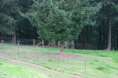 IMG_6270.JPG