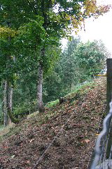 IMG_6275.JPG