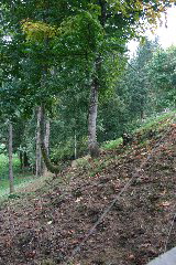 IMG_6276.JPG