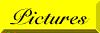 PICTURES