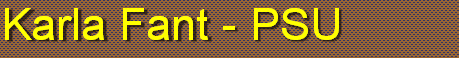 winter2010001004.gif