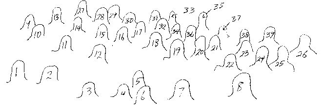 Numbered outlines of the family