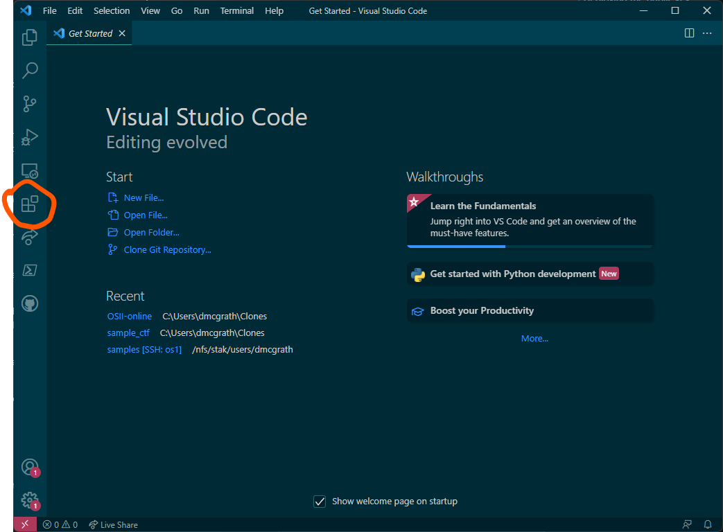 VS Code activity bar with the Extensions icon selected