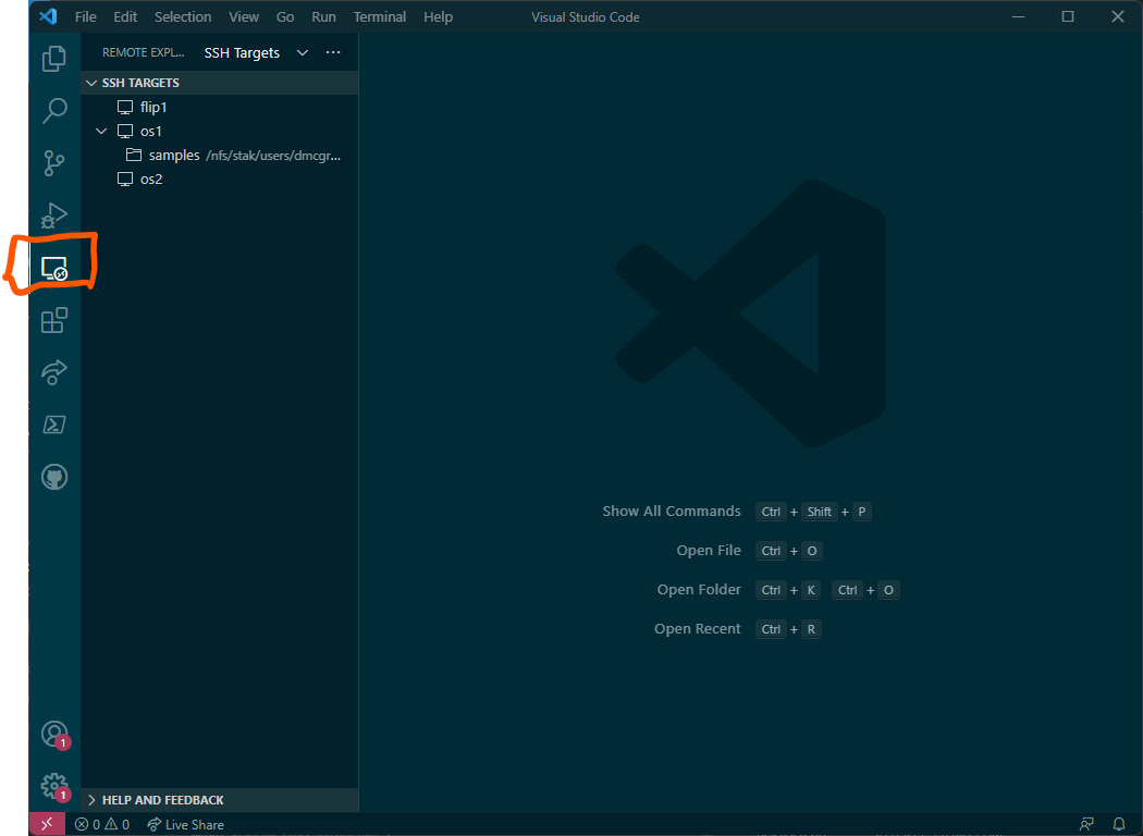 The new Remote Explorer icon in the VS Code left toolbar
