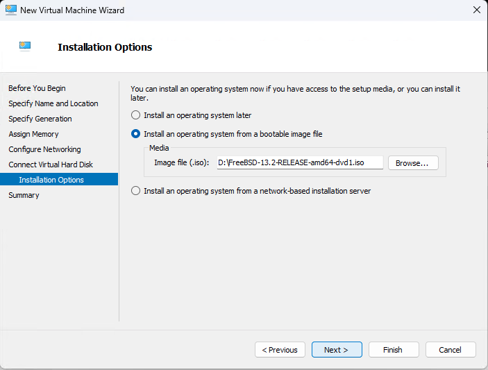 Installation options summary screen showing bootable image selected — click "Finish" to proceed