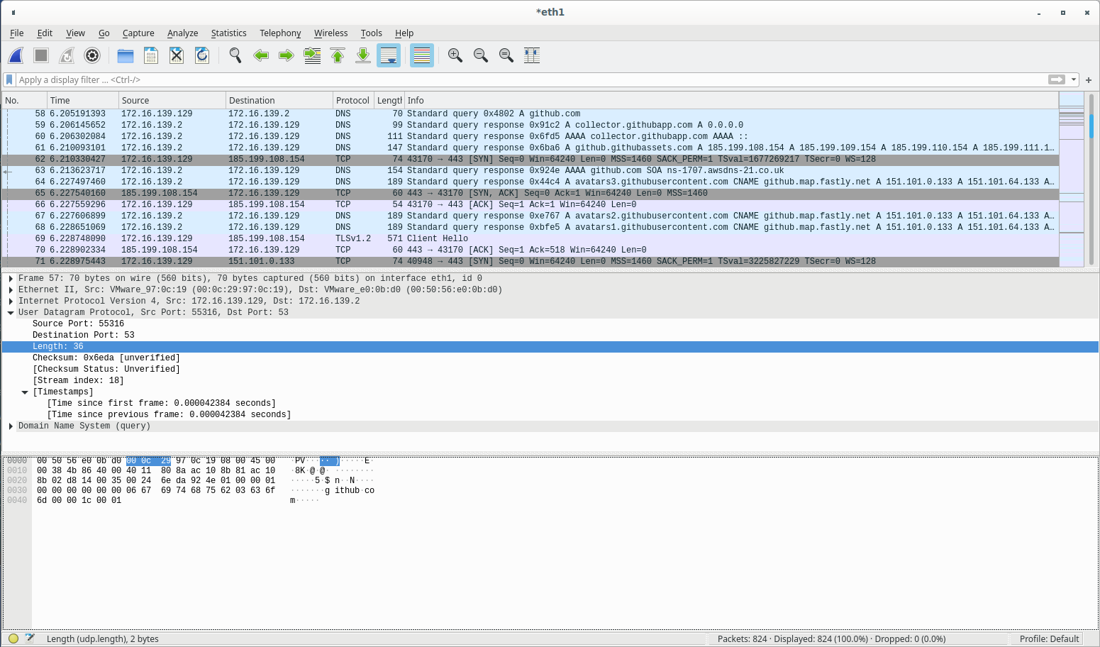 Wireshark main window showing DNS traffic with the display filter bar at the top, a packet list pane in the middle, and capture statistics at the bottom showing 24 packets captured and displayed