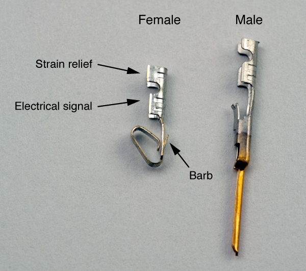 male female wire connector types