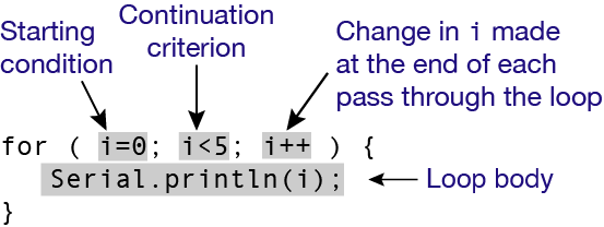 example of a for loop