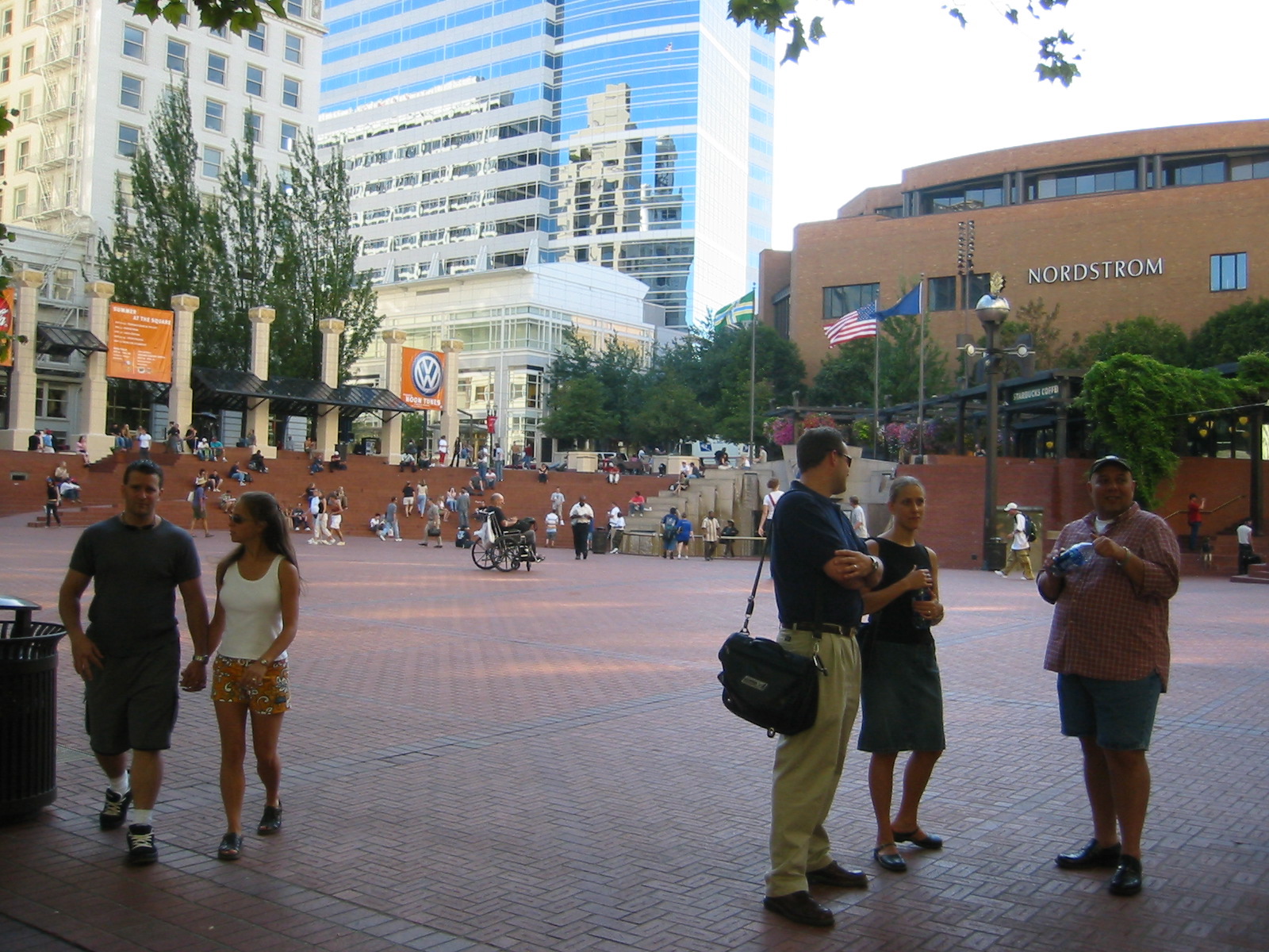 Pointee Square Nature