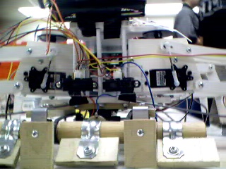 hexapod1kick