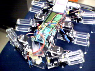 hexapod1