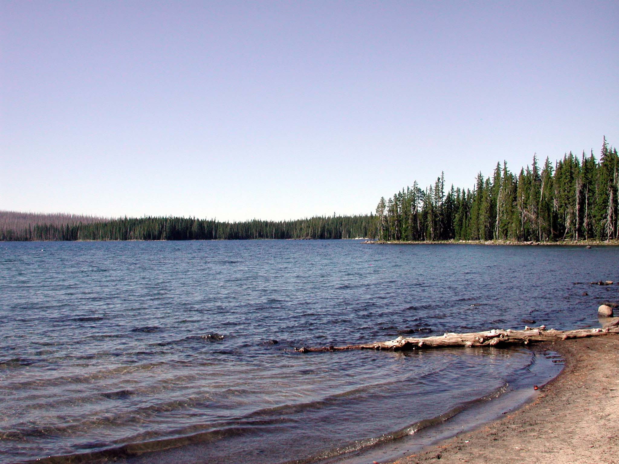 Panorama of Waldo Lake